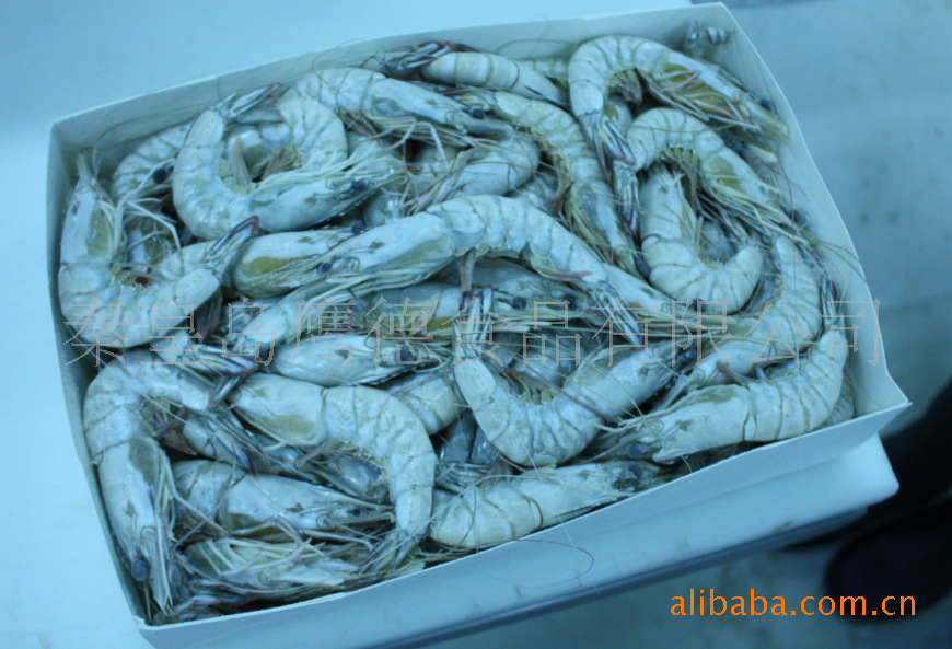 大量沙特虾-冷冻粗加工水产品价格及生产销售