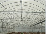 供应GP-C832型单栋钢架大棚(图)