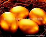 ��Ӧ�ش�,����,���� �� �ٵ�֮�� ��������