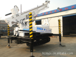 BZLD300�Ĵ�ʽ���