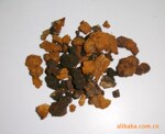 新到野生白桦茸 桦褐孔菌 桦树泪 黑龙江大兴安岭森林特产