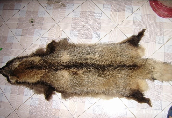 批发貉子皮、自然色貉子皮--白色貉子皮,其他生