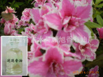 ������Ӧ����Ȼ�Ե����ͣ�ͼ��