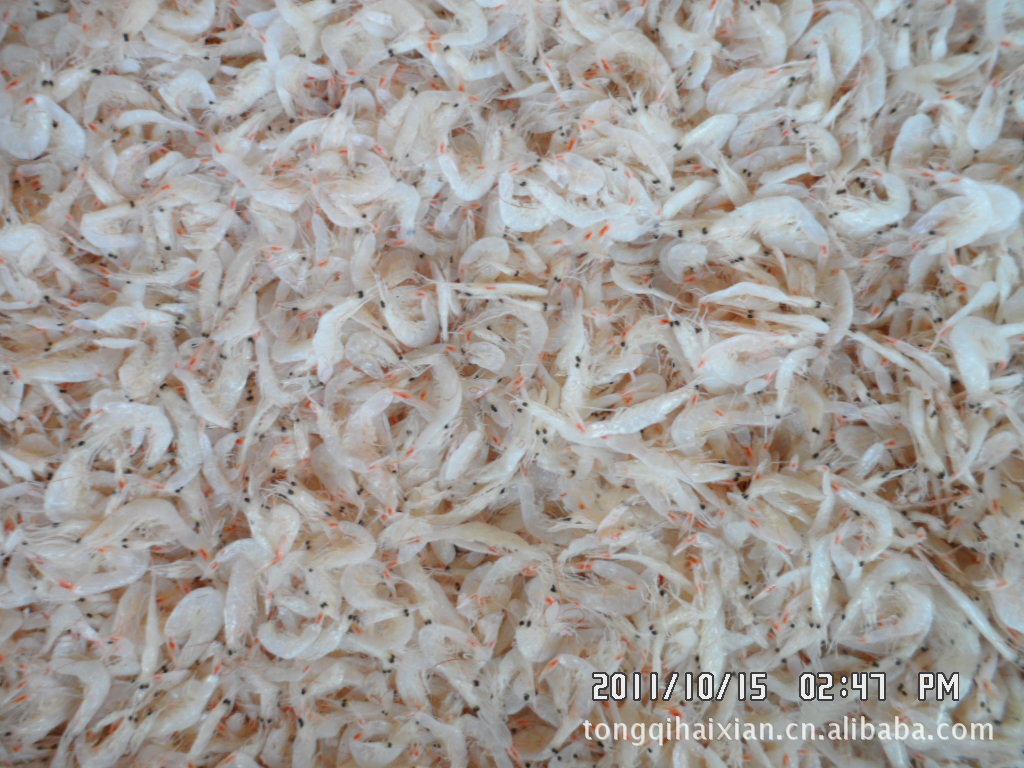 出售供应批发虾皮,海鲜礼品,加工代加工各种海