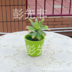 带刺龙舌兰 塑胶仿真小植物 插花小盆景 迷你植物