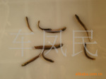 ������Ӧ������