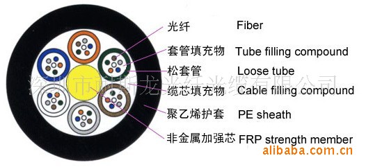 截面图1