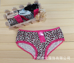 tl013�����ڿ� ӡ���ڿ� �����ڿ� �ڿ����� �ֻ�����