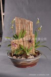 【新品上市】供应多种高质量的 陶瓷花盆