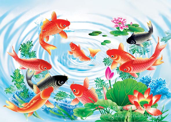 海龟立体画 PET高清三维立体画批发 50*70规