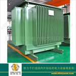 ������S9-Mϵ��10KV�������ͽ�ȫ�ܷ������ѹ�����ͱ�һ̨��