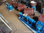 供应G25-1整体316不锈钢单螺杆泵