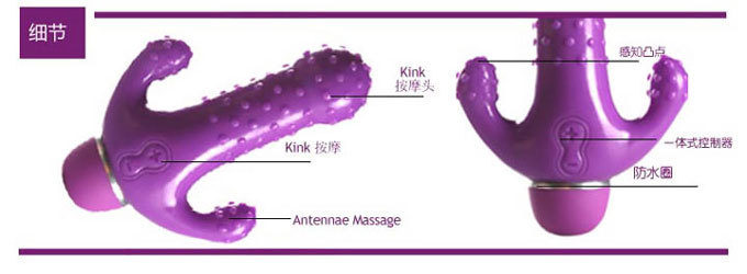 性保健品-美国Funzone 舒肤伯蒂 紫色2 柔情海