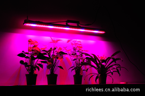 供应信息 灌木 45wled植物灯-led植物生长灯led grow lights,led