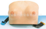 乳房自检模型(硅胶)/高级乳房检查模型---上海益联王牌制造