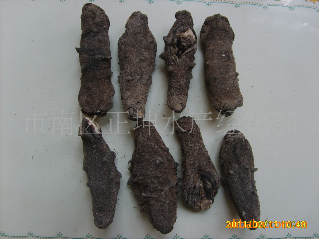 珍康源野生八角海参图片,珍康源野生八角海参