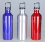 500ml�����˶�ˮ��  ˮ��   ��Ʒ