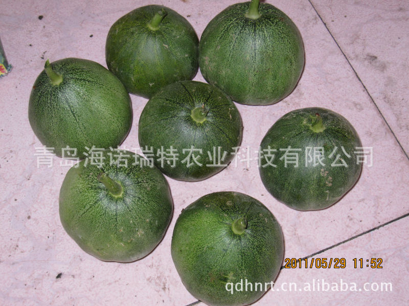 其他农作物种子、种苗-供应绿皮绿肉高产早熟