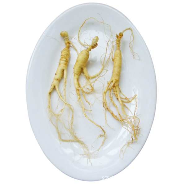 東北長白山人參 東北滋補 養顏 益壽  長白山鮮參 單支真空裝特產野山參 20支賣 免運費