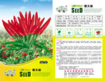 家庭农场系列品种-绿色种植环保健康-朝天椒