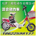 供应14”城市公主电动车(天津三枪电动车有限公司)