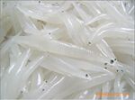 供应淡水银鱼 海水银鱼(7-8CM)