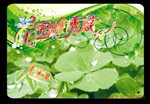 花园的诱惑 厂家直销 小盆景盆栽 王婧开心农场 免费加盟