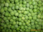 �ٶ��ඹ��6�ţ�