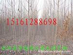 ��Ӧ���1-30���� �������