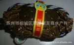 秋霸王牌阳澄湖大闸蟹 4对装 公蟹4.5两母3.2两原价798元现698元