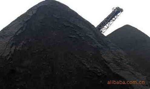 【提供贵州高指标电煤价格_提供贵州高指标电