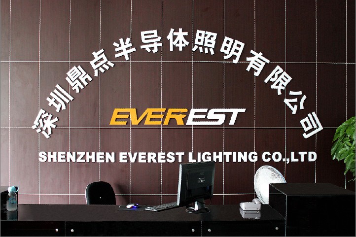 龙华镇硅谷动力清湖园a13栋 深圳市鼎点半导体