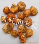 批发供应 竹荪圆蛋