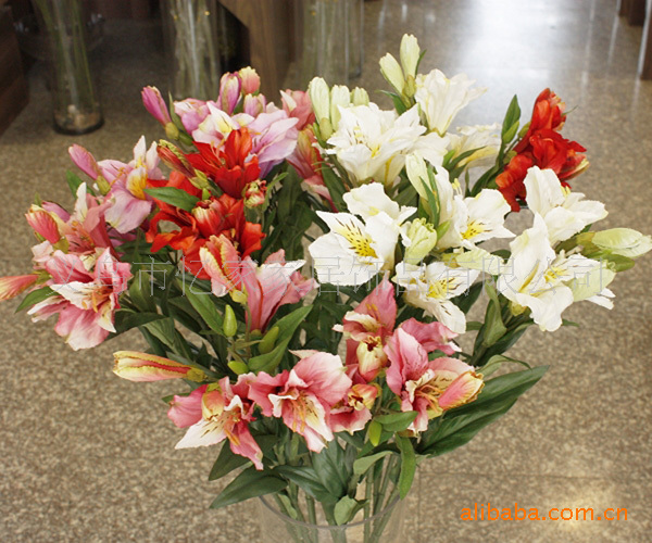 【忆家家饰 六出花 高档仿真花 10支起批】