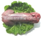 供应大级无头白条兔肉,您餐桌上的绿色食品