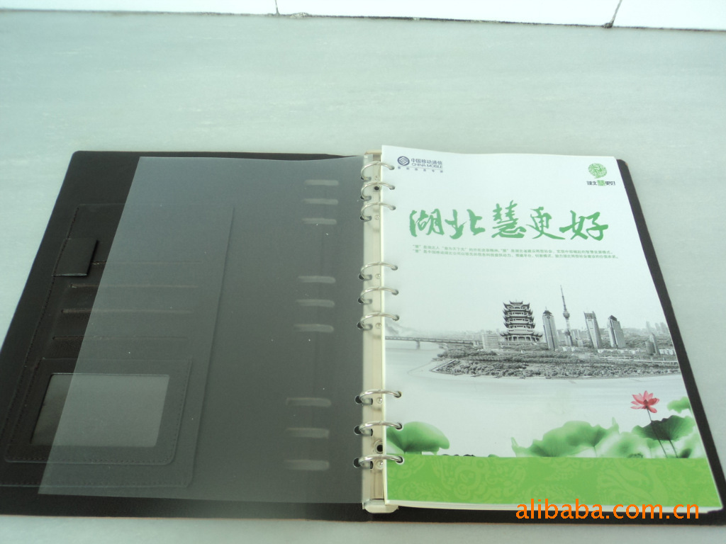 DSC02265