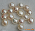 ��Ӧ10-10.5MM��ɫ��Բ��Ȼ��ˮ����ɢ������  SNH11-B10B05