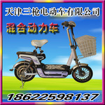 供应14”北极星电动车(天津三枪电动车有限)