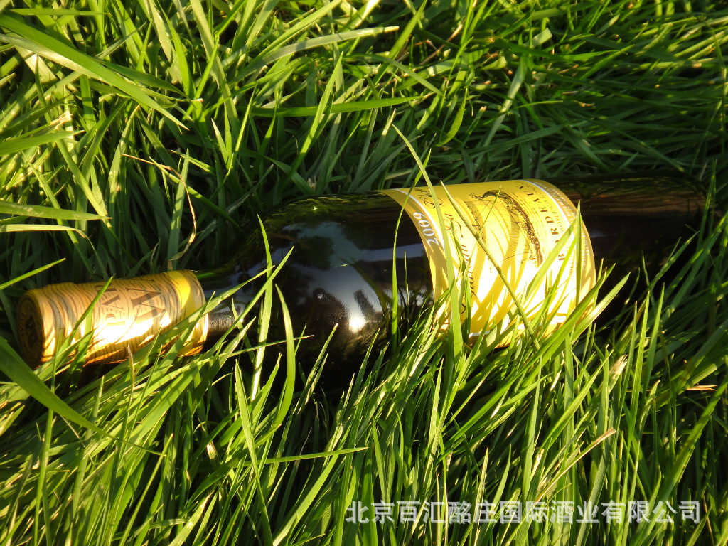 【法国进口红酒小拉菲2007年拉菲副牌】价格