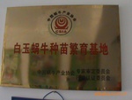 华东白玉蜗牛养殖场---中国蜗牛产业协会种苗繁殖单位