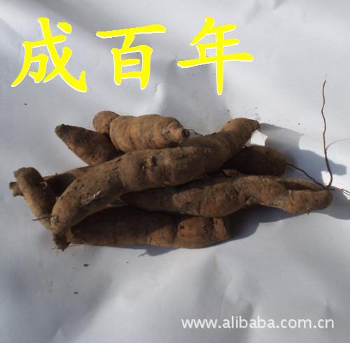 ★除了<em>拨</em>掉,你还能怎么对付<em>白发</em>? 阿里巴巴 yc