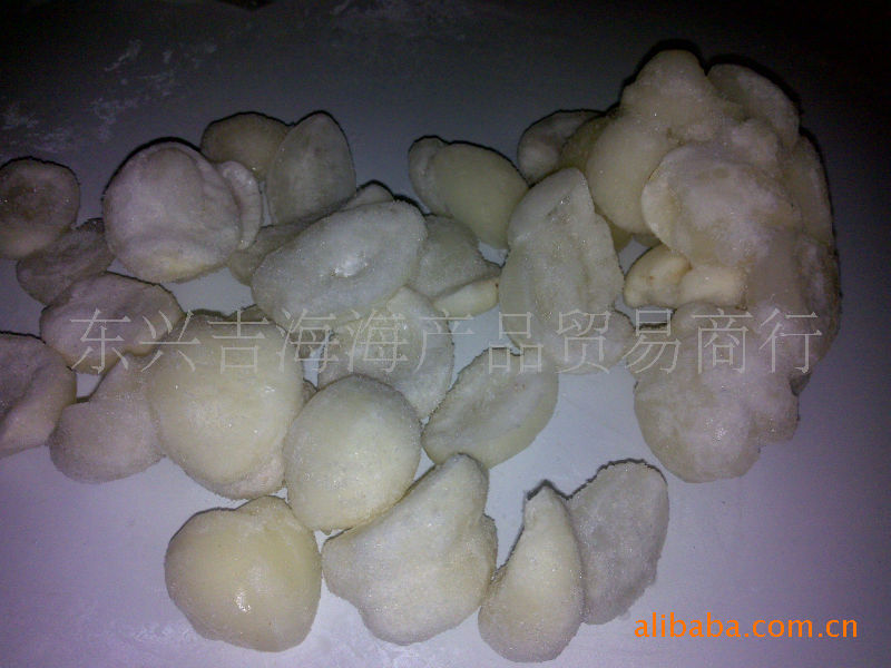 批发供应新鲜冰冻海底椰-清肺止咳效果很好