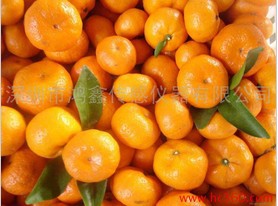 【原产地直销批发柑桔 橘子 散装 代办 欢迎水果