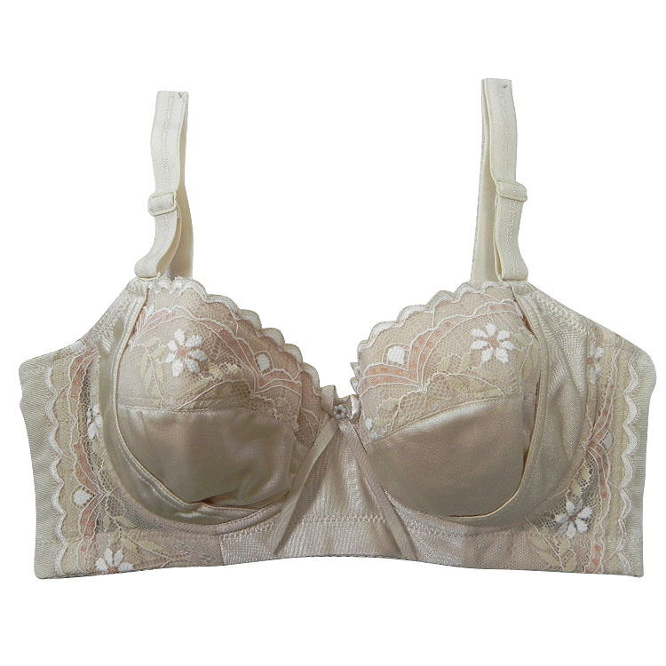 【功能型<em>文胸</em>批发<em>网店代理加盟</em>代销一件代发小