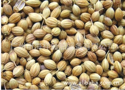 印度香料芫荽籽CORIANDER图片,印度香料芫荽籽CORIANDER图片大全,广州市海祥船舶服务有限公司-1-马可波罗网