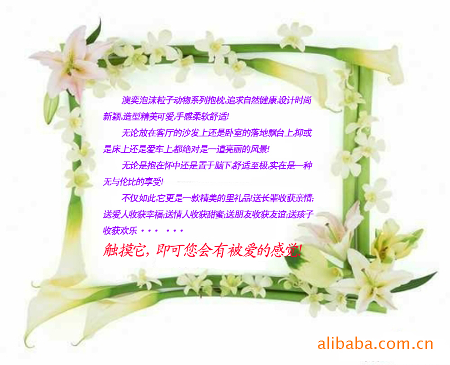 說明2