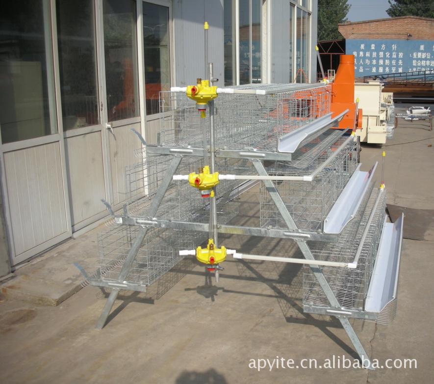 厂家设计生产直销鸡笼,多层鸡笼,PVC鸡笼 钢