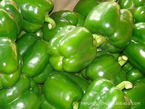 东昌乐大棚辣椒供应全国最好的辣椒基地图片,