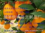 �ŷ��ĳȹ�ҵ��԰ֱ����&mdash;&mdash;��ӭ������ ��Ʒ�������