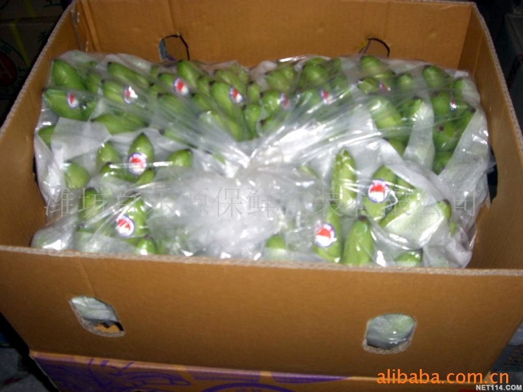 你是否在寻找可靠的食品保鲜袋？让我们一起看看各大品牌的表现吧！